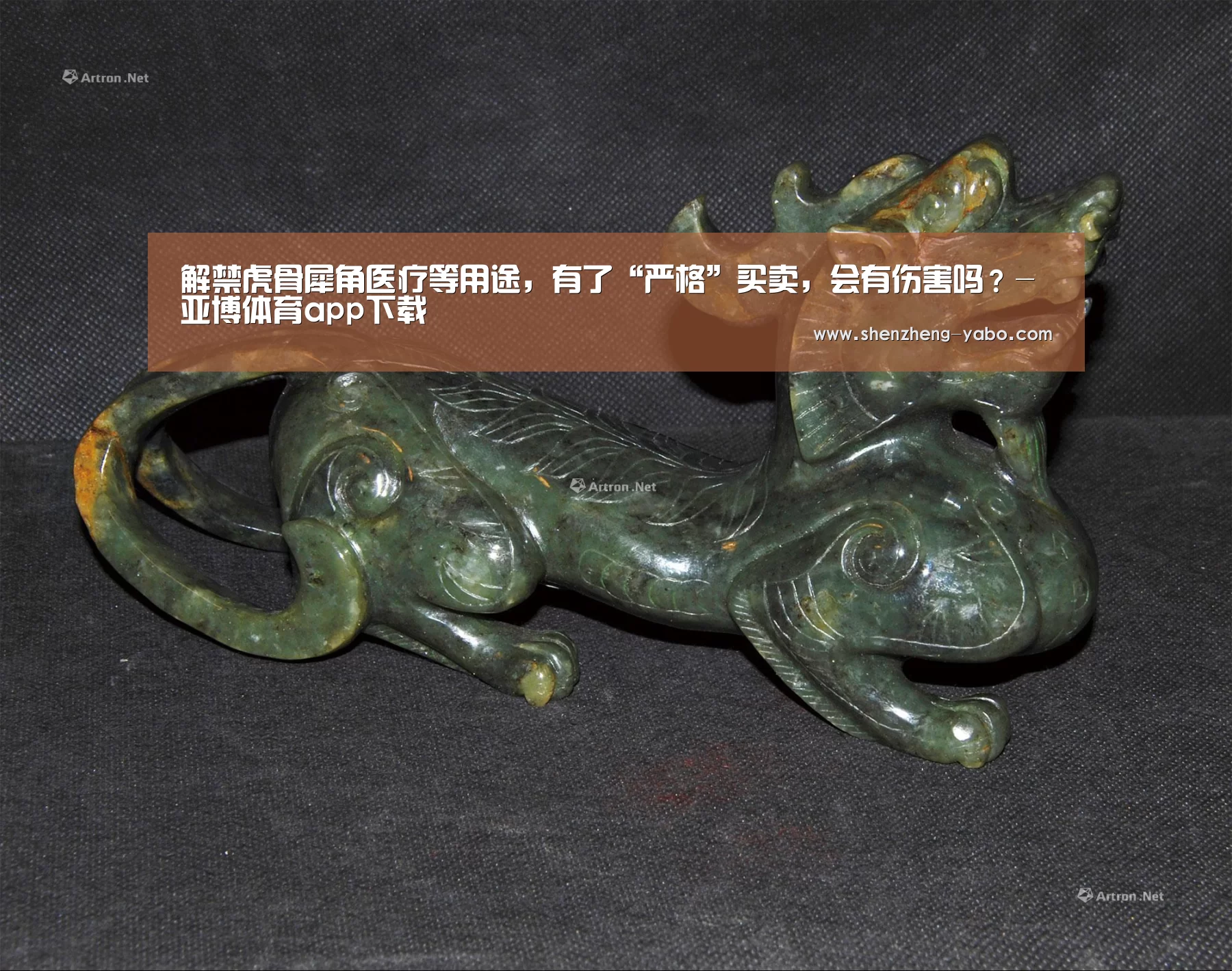 解禁虎骨犀角医疗等用途,有了“严格”买卖,会有伤害吗?-亚博体育app下载(图1) 亚博体育